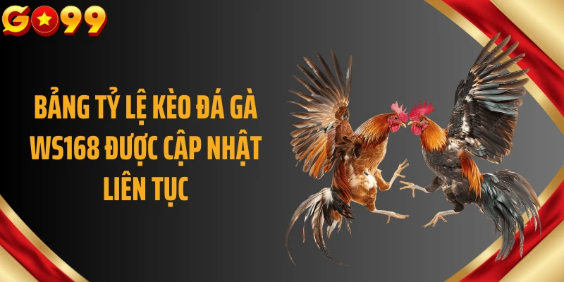 Bảng tỷ lệ kèo đá gà WS168 được cập nhật liên tục
