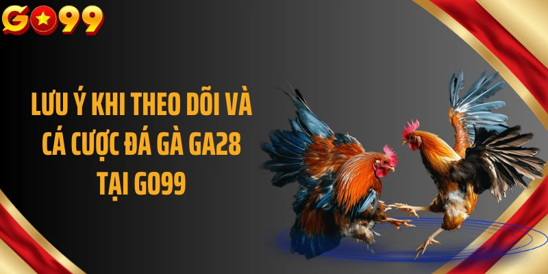 Lưu ý khi theo dõi và cá cược đá gà GA28 tại GO99